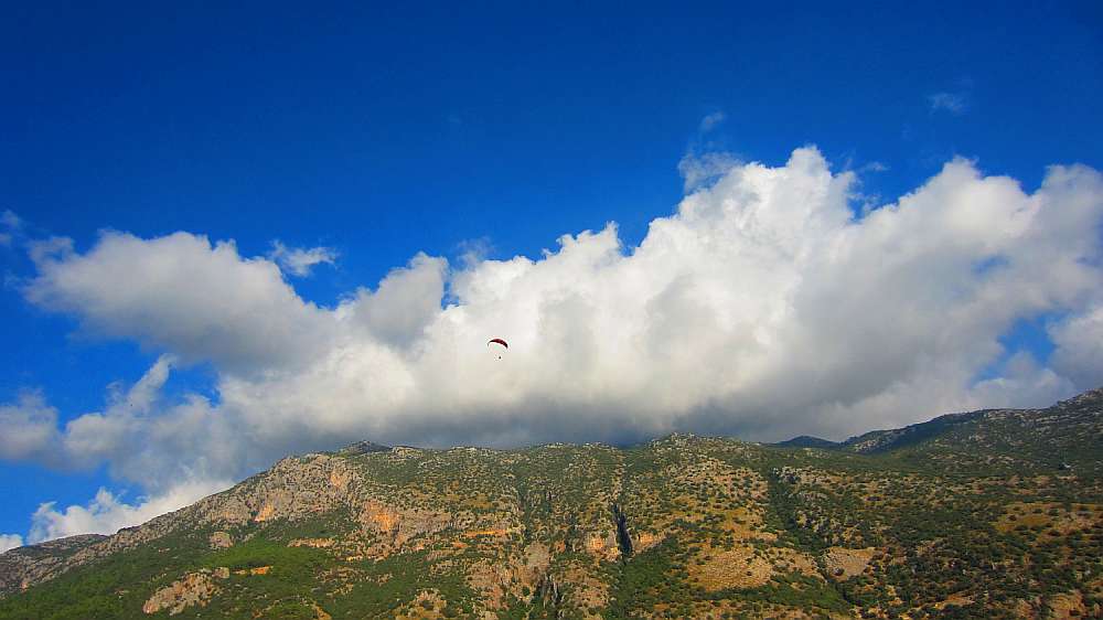 Paraglider