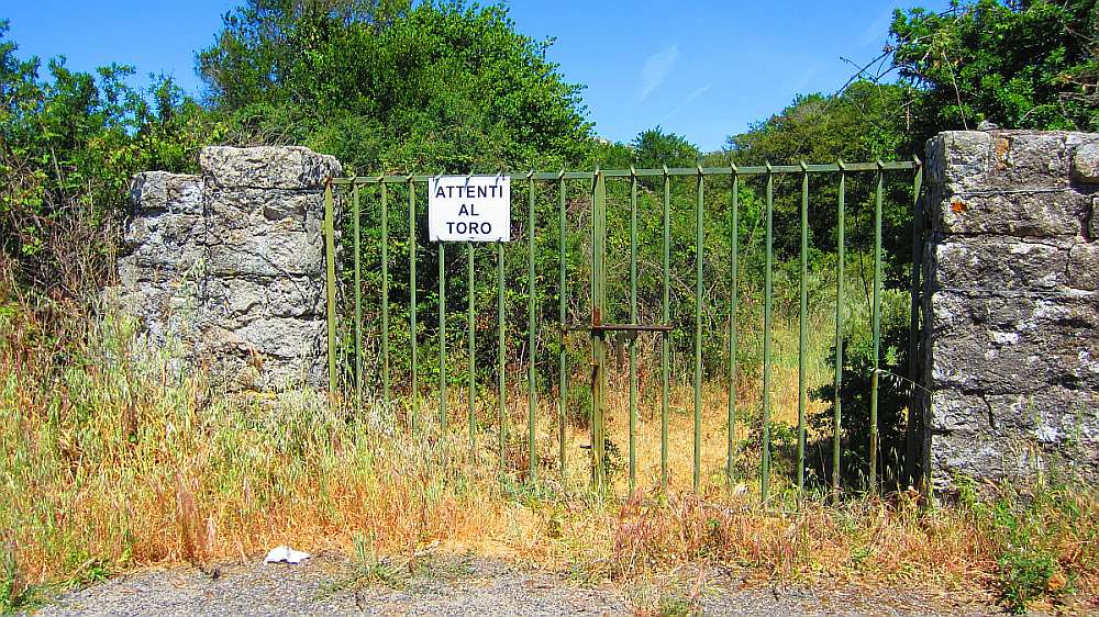 Pascaredda_Attenti_al_Toro