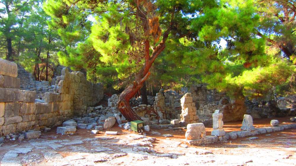 Phaselis