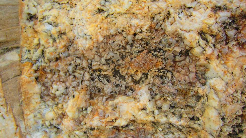 Marina_di_Pisa_Steine