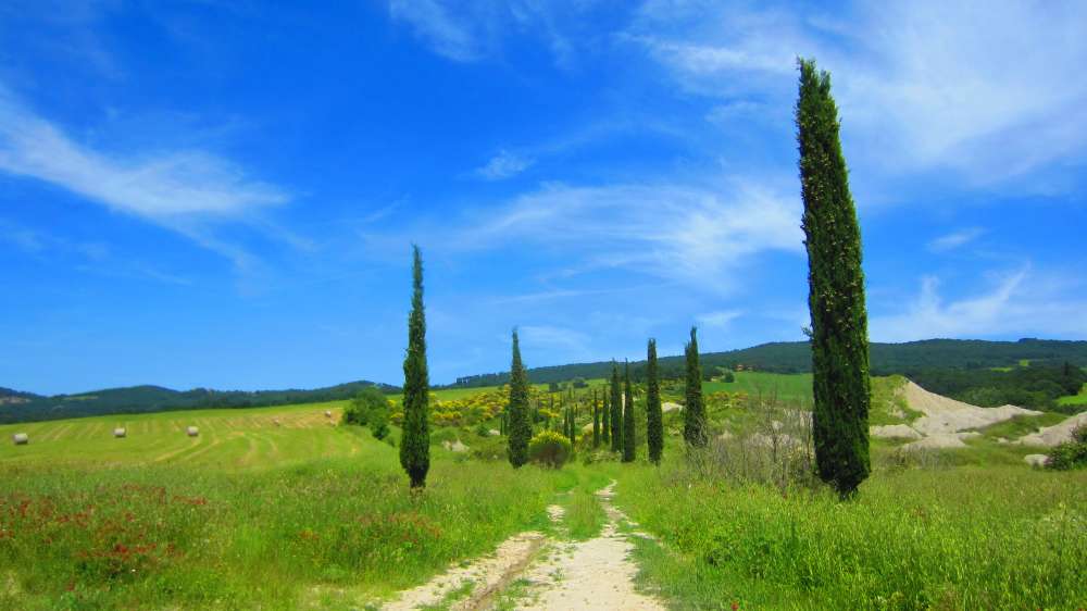Crete_Senesi_