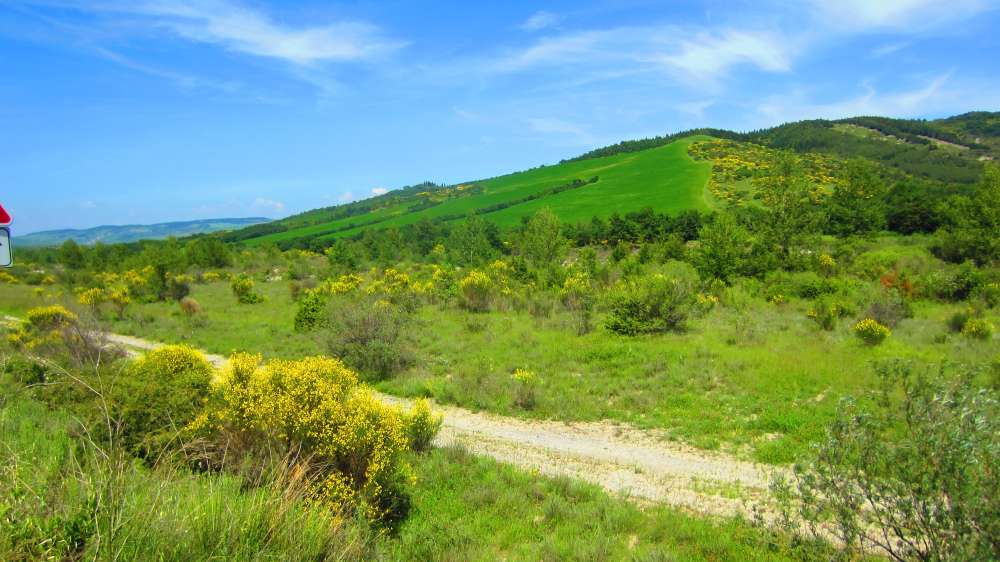Crete_Senesi_Formone