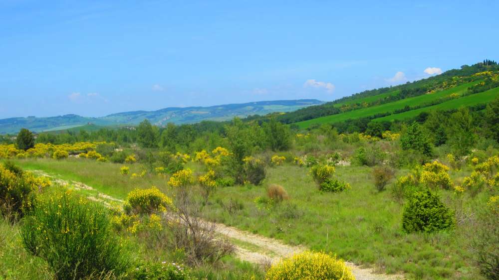 Crete_Senesi_Formone