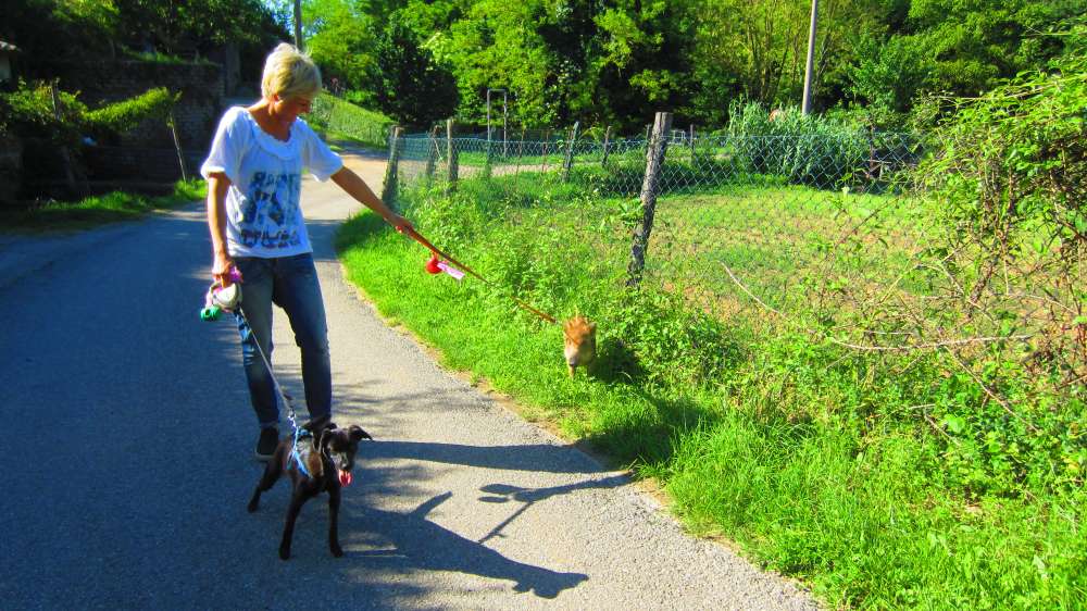 Vitozza_Schwein_Nina