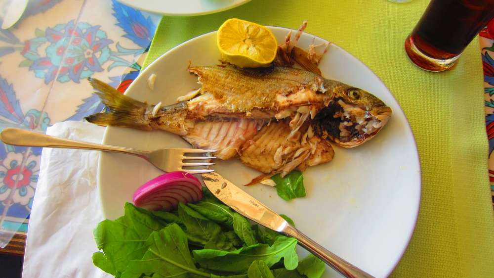 Restaurant_Can_Katze