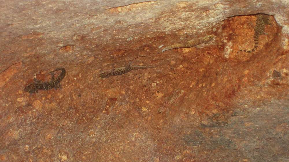 Putifigari_S_Incantu