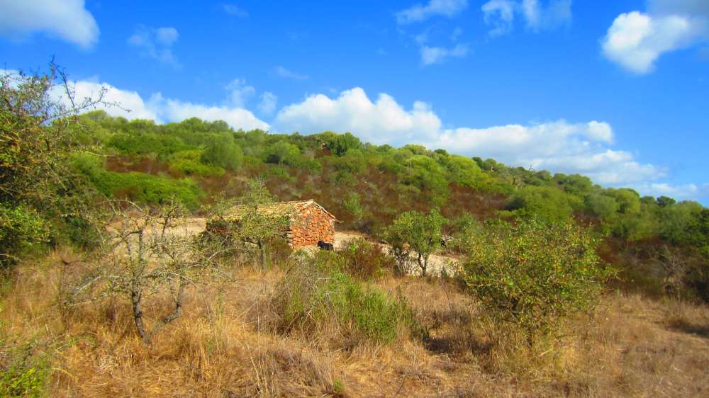 Putifigari_S_Incantu