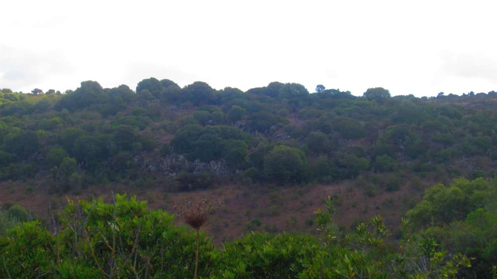 Putifigari_S_Incantu