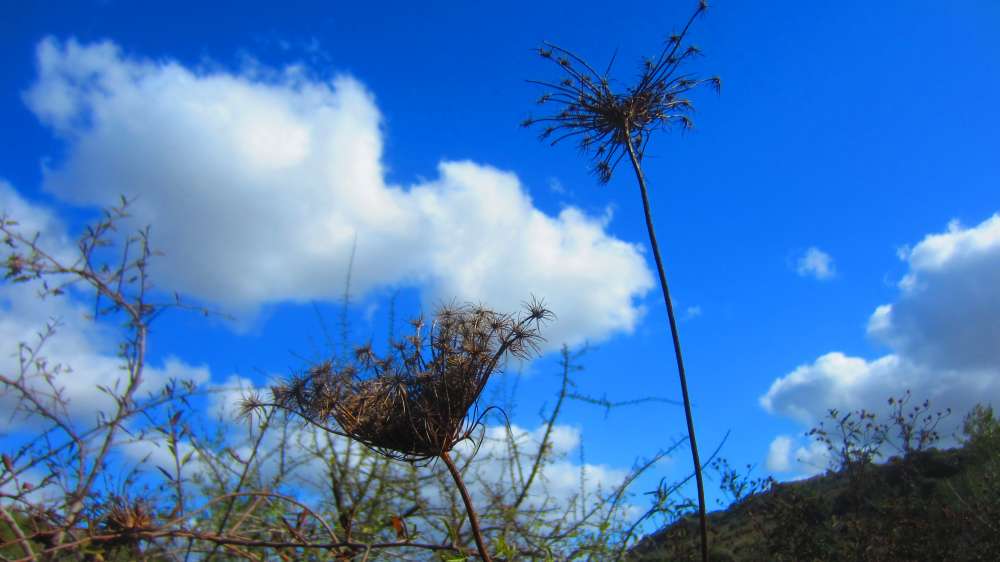 Putifigari_S_Incantu