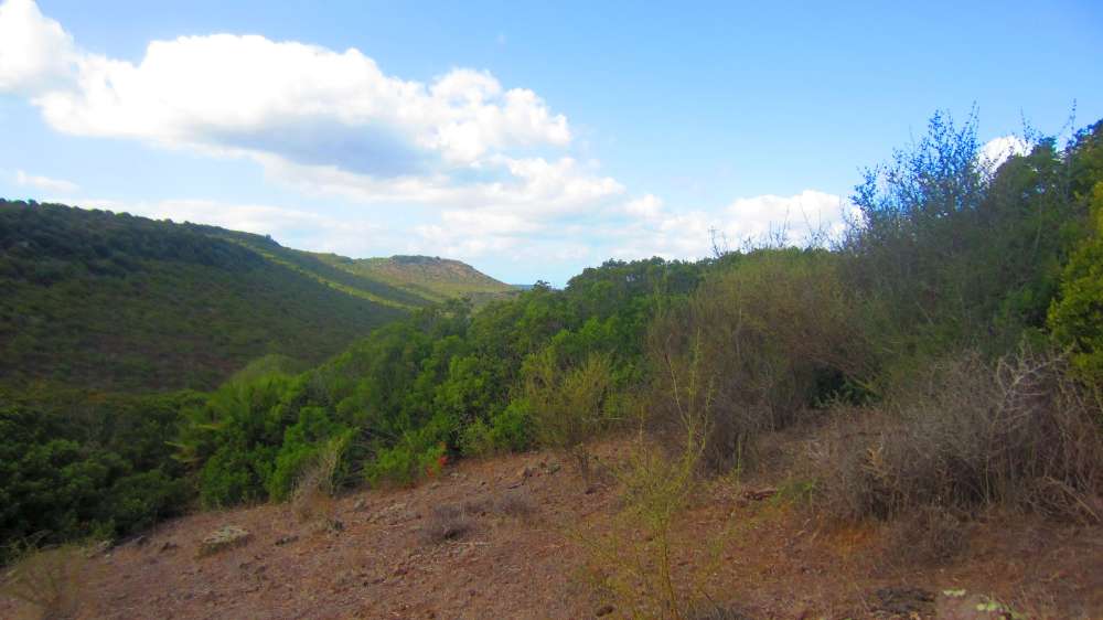 Putifigari_S_Incantu