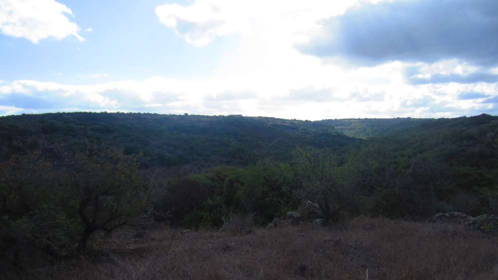 Putifigari_S_Incantu