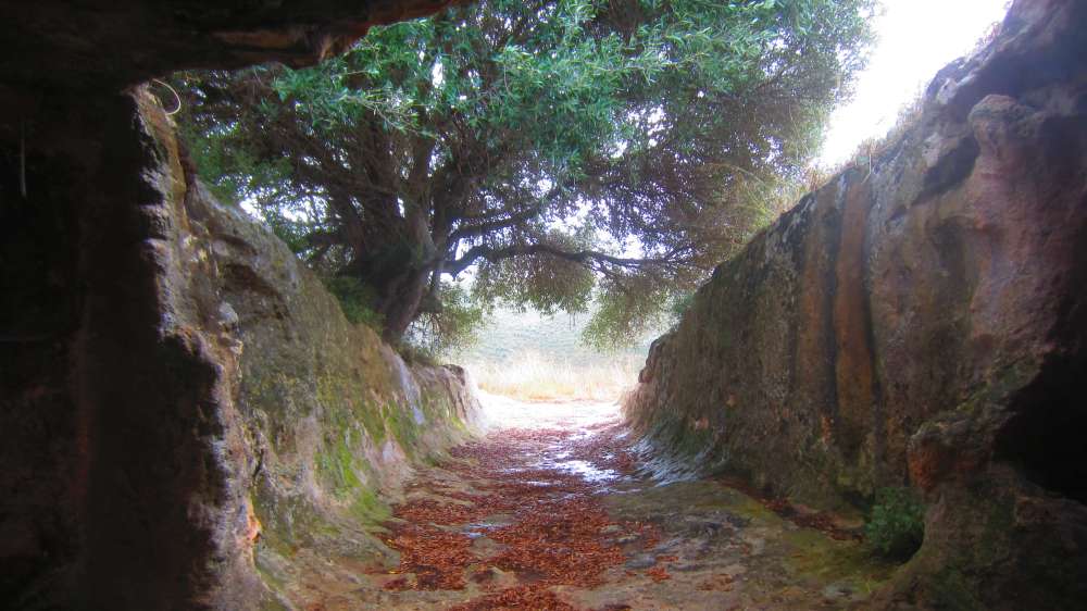 In jenen Tagen herrschte sehr häufig die Meinung, dass der Berg, auf dem die Bundeslade gegründet war, der Mittelpunkt der Erde sein muss. 1) Daher besetzte der Berg Meru unter den Hindus diese Position, nicht nur in ihrer Mythologie, im Kreis von Ilavratta, sondern sogar in ihrer Geographie. In der Vidalaya-Schule in Benares stellte ein astronomischer Dozent Bischof Heber eine Erdkugel vor, die bis zum Meridian dieses Ortes emporgehoben war. 2) Der Berg Meru identifizierte sich mit dem Nordpol und unter dem Südpol sollte die Schildkröte Chukwa stehen, auf der die Erde ruht. Daher erhielt auch der Berg Parnass, auf dem Deucalion gelandet sein soll, den gleichen Ruf 3); und Plutarch berichtet von einer Tradition, dass die Tatsache von einigen Vögeln bestimmt wurde, die sich dort trafen und gleichzeitig von den verschiedenen Enden der Erde flogen. 4) Wenn die Kritiker sich um diese Tatsache gekümmert hätten, wären sie von einer Passage in Pausanias, die einen sehr alten Herkulestempel in Erythrae beschreibt, weniger verwirrt gewesen, in dem der Gegenstand der Verehrung kein Gegenstück hatte, außer dem ägyptischen Denkmäler 5); das heißt, es muss a gewesen sein