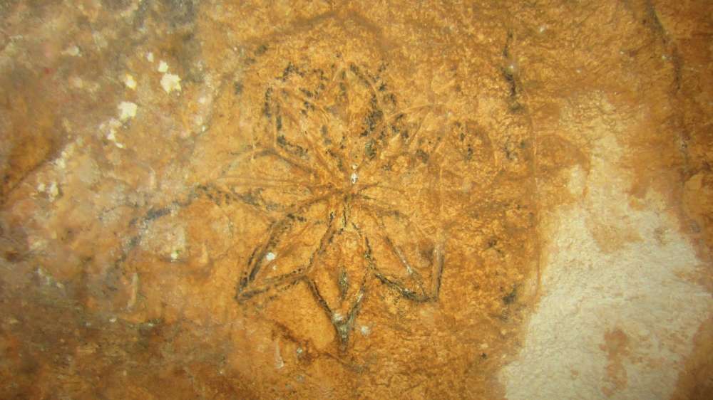 In jenen Tagen herrschte sehr häufig die Meinung, dass der Berg, auf dem die Bundeslade gegründet war, der Mittelpunkt der Erde sein muss. 1) Daher besetzte der Berg Meru unter den Hindus diese Position, nicht nur in ihrer Mythologie, im Kreis von Ilavratta, sondern sogar in ihrer Geographie. In der Vidalaya-Schule in Benares stellte ein astronomischer Dozent Bischof Heber eine Erdkugel vor, die bis zum Meridian dieses Ortes emporgehoben war. 2) Der Berg Meru identifizierte sich mit dem Nordpol und unter dem Südpol sollte die Schildkröte Chukwa stehen, auf der die Erde ruht. Daher erhielt auch der Berg Parnass, auf dem Deucalion gelandet sein soll, den gleichen Ruf 3); und Plutarch berichtet von einer Tradition, dass die Tatsache von einigen Vögeln bestimmt wurde, die sich dort trafen und gleichzeitig von den verschiedenen Enden der Erde flogen. 4) Wenn die Kritiker sich um diese Tatsache gekümmert hätten, wären sie von einer Passage in Pausanias, die einen sehr alten Herkulestempel in Erythrae beschreibt, weniger verwirrt gewesen, in dem der Gegenstand der Verehrung kein Gegenstück hatte, außer dem ägyptischen Denkmäler 5); das heißt, es muss a gewesen sein