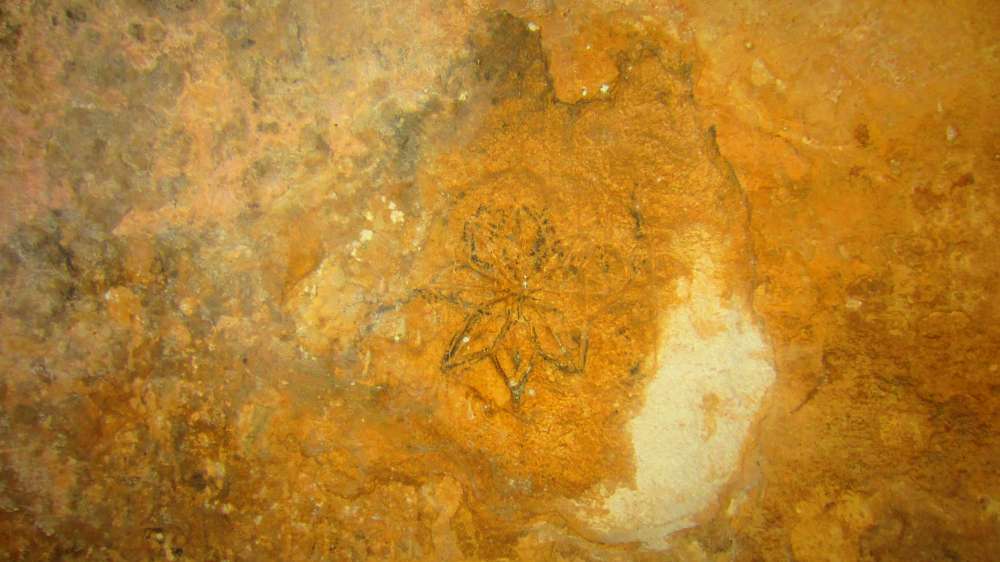 In jenen Tagen herrschte sehr häufig die Meinung, dass der Berg, auf dem die Bundeslade gegründet war, der Mittelpunkt der Erde sein muss. 1) Daher besetzte der Berg Meru unter den Hindus diese Position, nicht nur in ihrer Mythologie, im Kreis von Ilavratta, sondern sogar in ihrer Geographie. In der Vidalaya-Schule in Benares stellte ein astronomischer Dozent Bischof Heber eine Erdkugel vor, die bis zum Meridian dieses Ortes emporgehoben war. 2) Der Berg Meru identifizierte sich mit dem Nordpol und unter dem Südpol sollte die Schildkröte Chukwa stehen, auf der die Erde ruht. Daher erhielt auch der Berg Parnass, auf dem Deucalion gelandet sein soll, den gleichen Ruf 3); und Plutarch berichtet von einer Tradition, dass die Tatsache von einigen Vögeln bestimmt wurde, die sich dort trafen und gleichzeitig von den verschiedenen Enden der Erde flogen. 4) Wenn die Kritiker sich um diese Tatsache gekümmert hätten, wären sie von einer Passage in Pausanias, die einen sehr alten Herkulestempel in Erythrae beschreibt, weniger verwirrt gewesen, in dem der Gegenstand der Verehrung kein Gegenstück hatte, außer dem ägyptischen Denkmäler 5); das heißt, es muss a gewesen sein