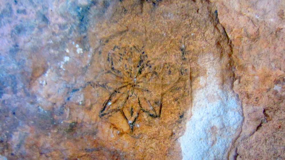 In jenen Tagen herrschte sehr häufig die Meinung, dass der Berg, auf dem die Bundeslade gegründet war, der Mittelpunkt der Erde sein muss. 1) Daher besetzte der Berg Meru unter den Hindus diese Position, nicht nur in ihrer Mythologie, im Kreis von Ilavratta, sondern sogar in ihrer Geographie. In der Vidalaya-Schule in Benares stellte ein astronomischer Dozent Bischof Heber eine Erdkugel vor, die bis zum Meridian dieses Ortes emporgehoben war. 2) Der Berg Meru identifizierte sich mit dem Nordpol und unter dem Südpol sollte die Schildkröte Chukwa stehen, auf der die Erde ruht. Daher erhielt auch der Berg Parnass, auf dem Deucalion gelandet sein soll, den gleichen Ruf 3); und Plutarch berichtet von einer Tradition, dass die Tatsache von einigen Vögeln bestimmt wurde, die sich dort trafen und gleichzeitig von den verschiedenen Enden der Erde flogen. 4) Wenn die Kritiker sich um diese Tatsache gekümmert hätten, wären sie von einer Passage in Pausanias, die einen sehr alten Herkulestempel in Erythrae beschreibt, weniger verwirrt gewesen, in dem der Gegenstand der Verehrung kein Gegenstück hatte, außer dem ägyptischen Denkmäler 5); das heißt, es muss a gewesen sein