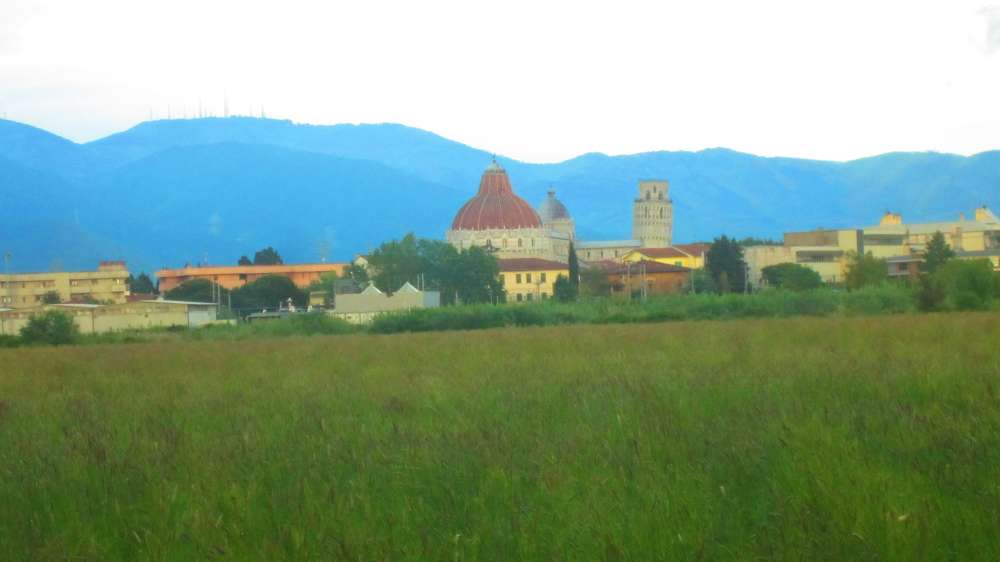 Pisa