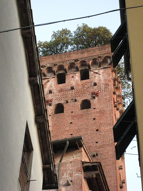 IMAG_Lucca_TorreGuinini