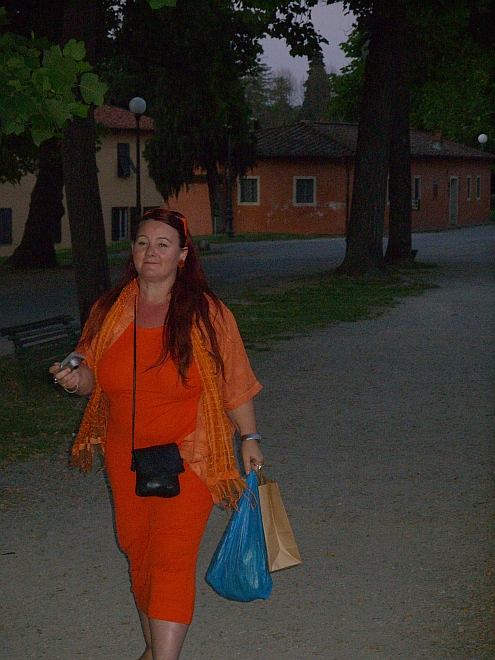 IMAG_Lucca_Mauer_Iris