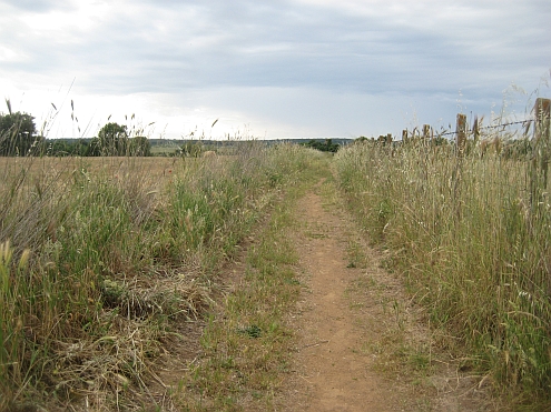 IMAG_Norchia_Feldweg