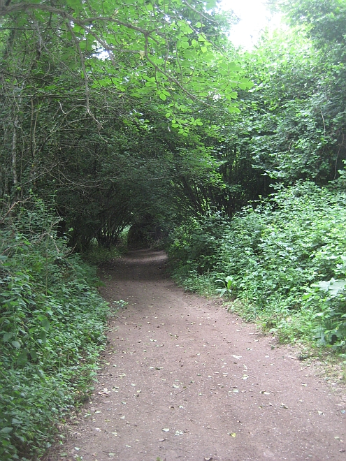 IMAG_Norchia_Via_Claudia