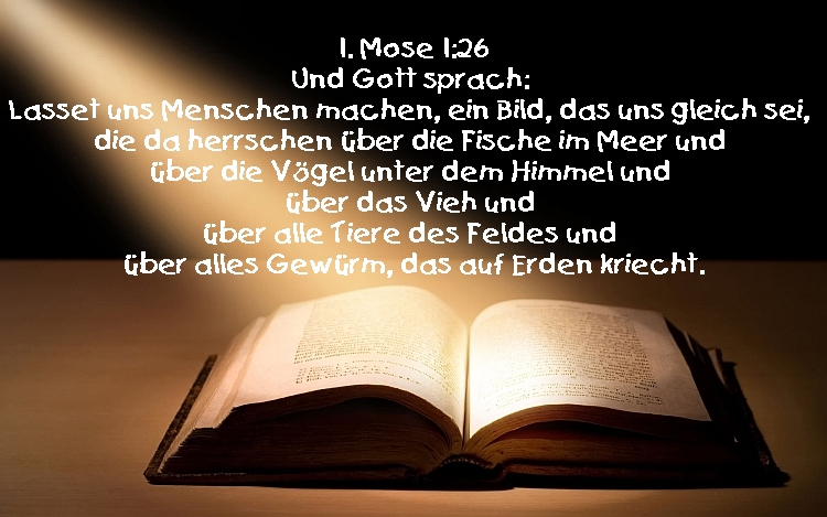 Bibel_1Mose1_26