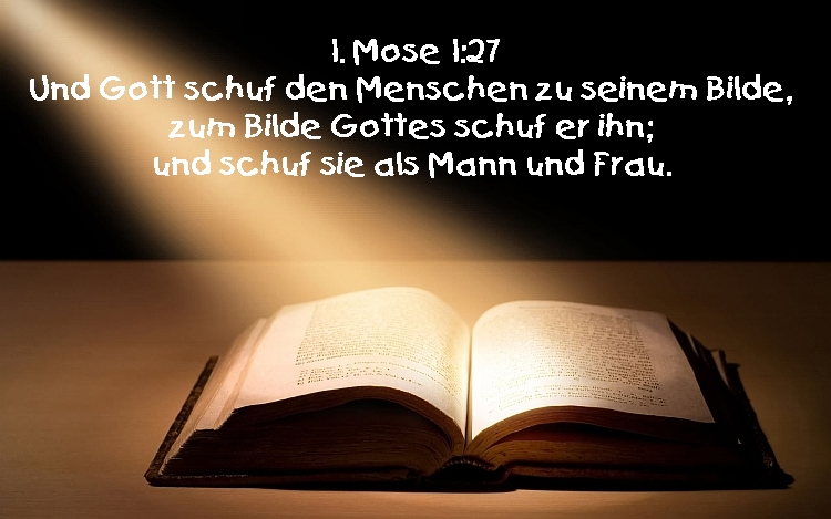 Bibel_1Mose1_27