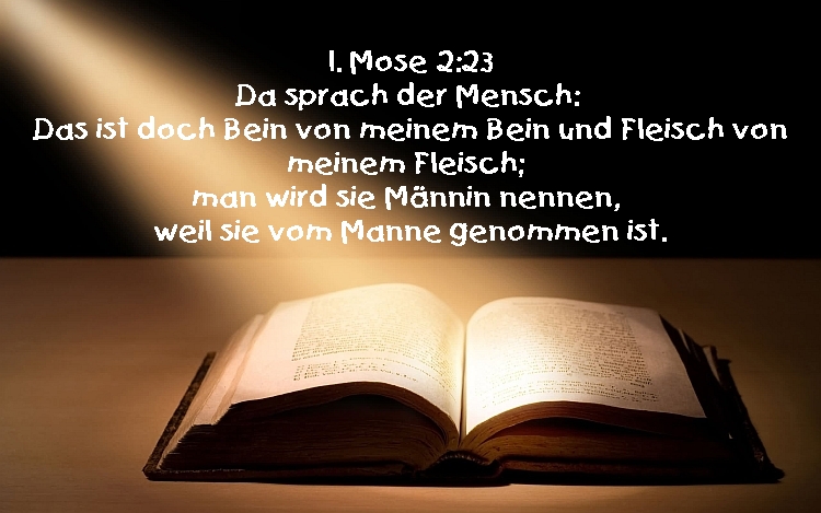 Bibel_1Mose2_23