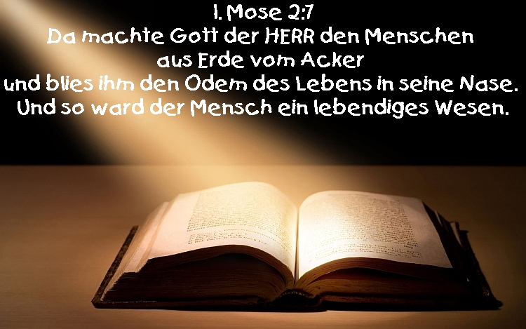 Bibel_1Mose2_7