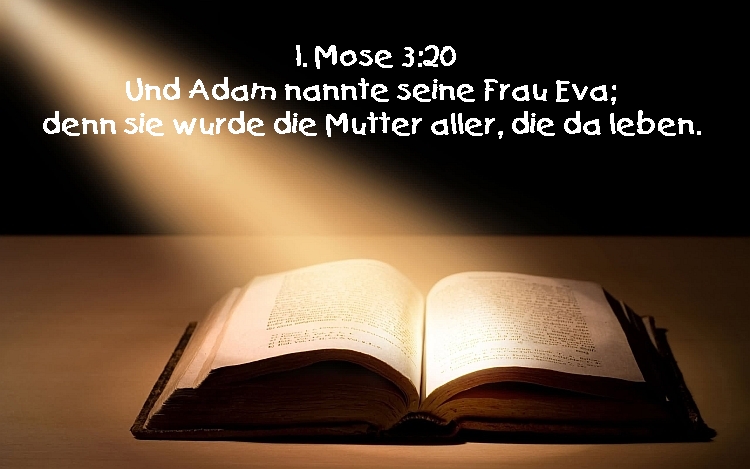 Bibel_1Mose3_20