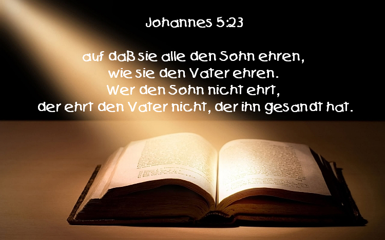 Johannes_5_23