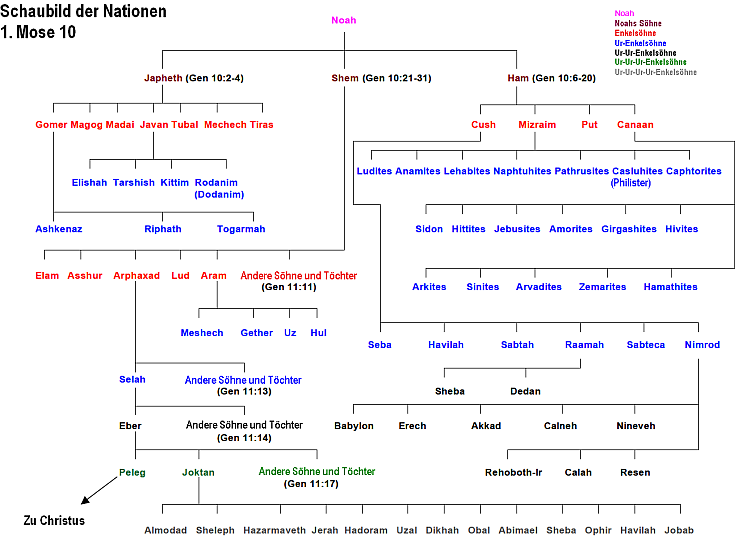 Stammbaum_ab_Noah
