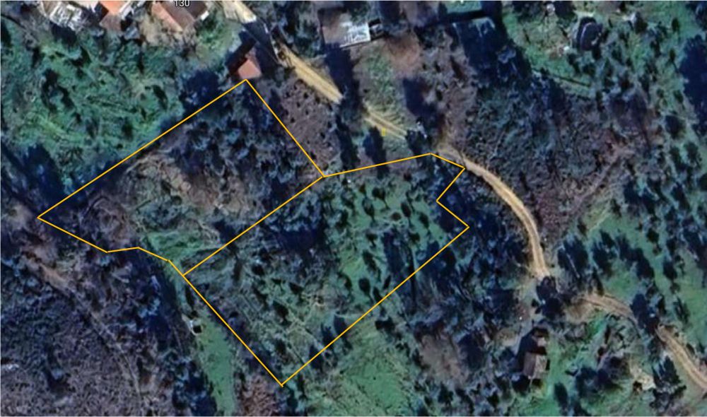 001 - Lageplan Rua da Carvalha